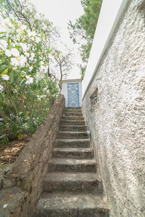 Panorama Hotel Bodrum Göltürkbükü Eksteriør bilde