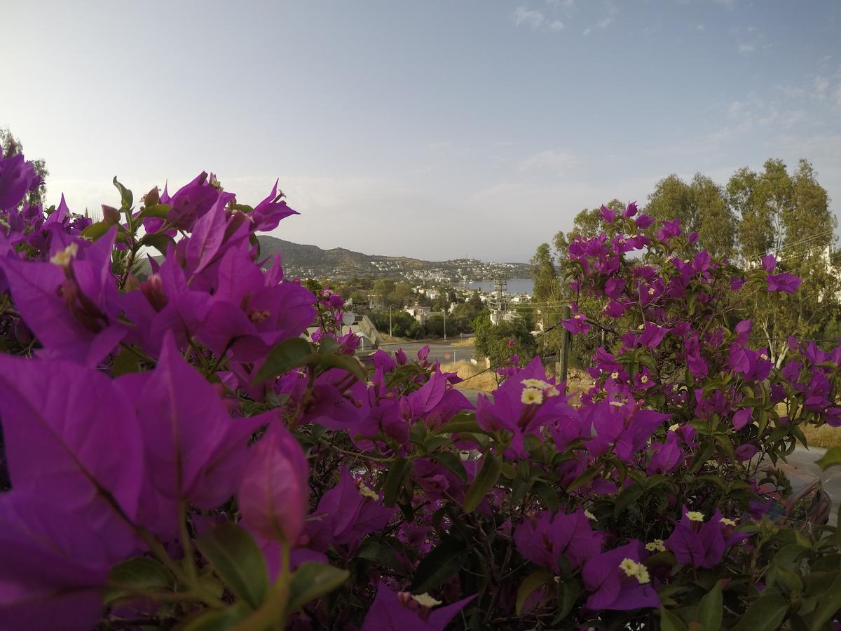 Panorama Hotel Bodrum Göltürkbükü Eksteriør bilde
